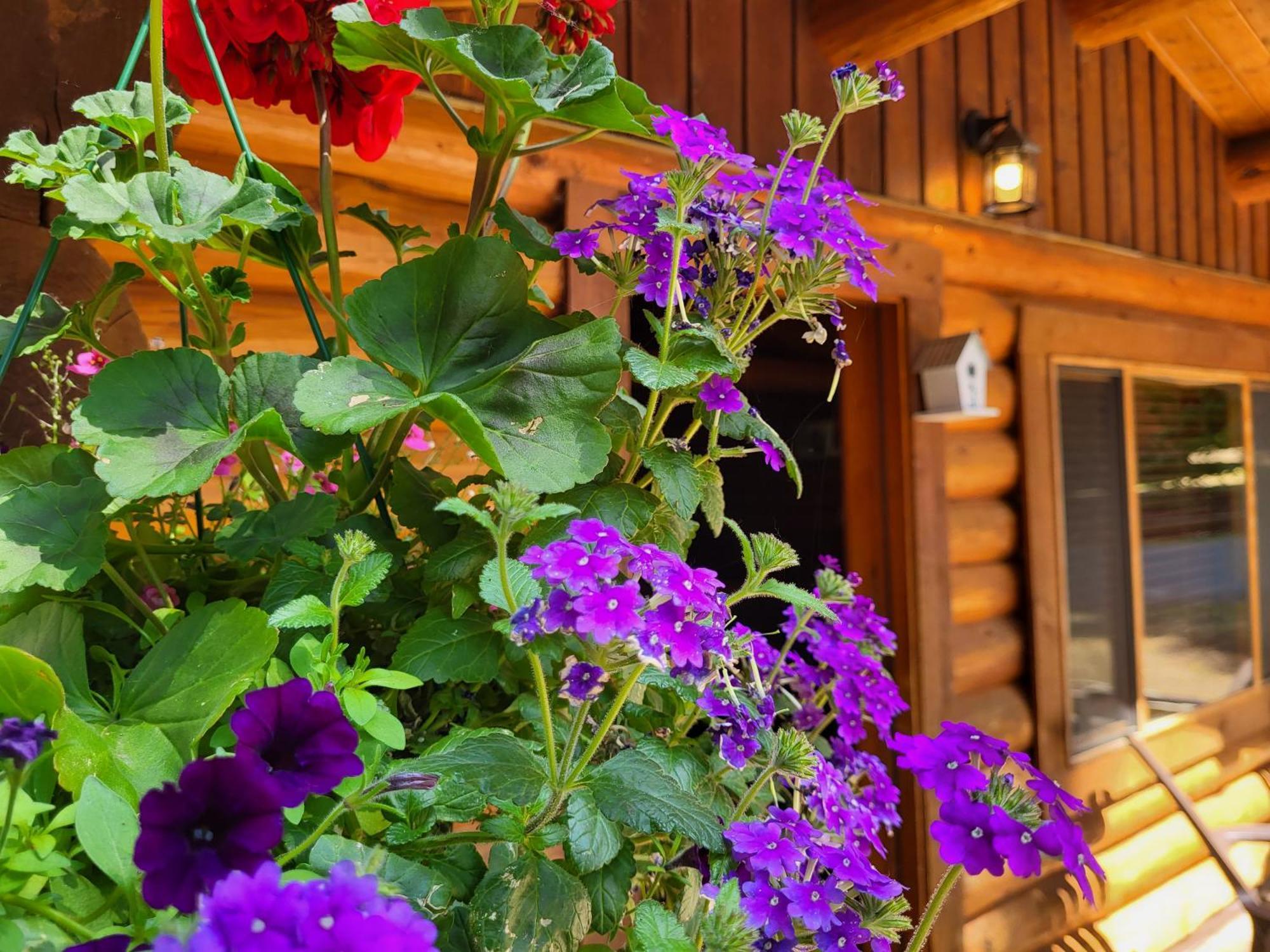 河湾rv小屋度假村 帕克斯维尔 外观 照片